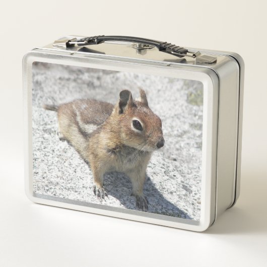 かわいい地面リスの自然写真 メタルランチボックス (裏面)
