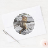 かわいい地面リスの自然写真 ラウンドシール (封筒)