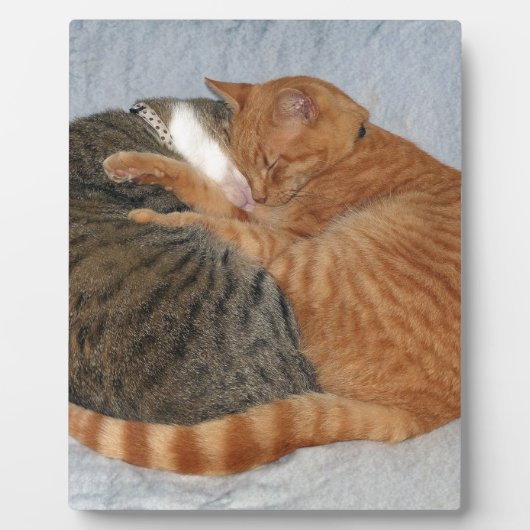 かわいい塊 フォトプラーク (正面)