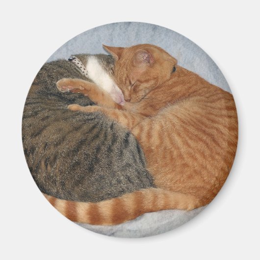 かわいい塊 マグネット (正面)