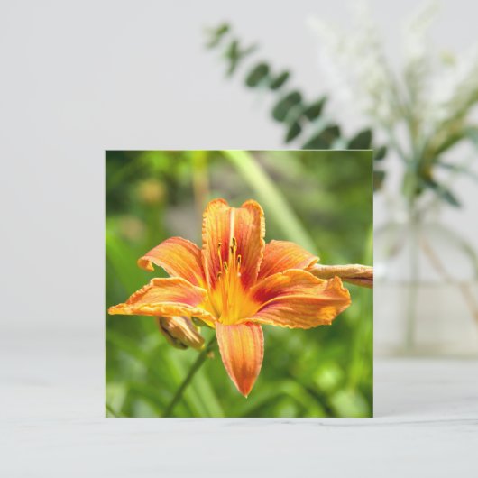 かわいい大きなユリの花の写真 (スタンド正面)