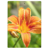 かわいい大きなユリの花の写真 クリップボード (裏面)