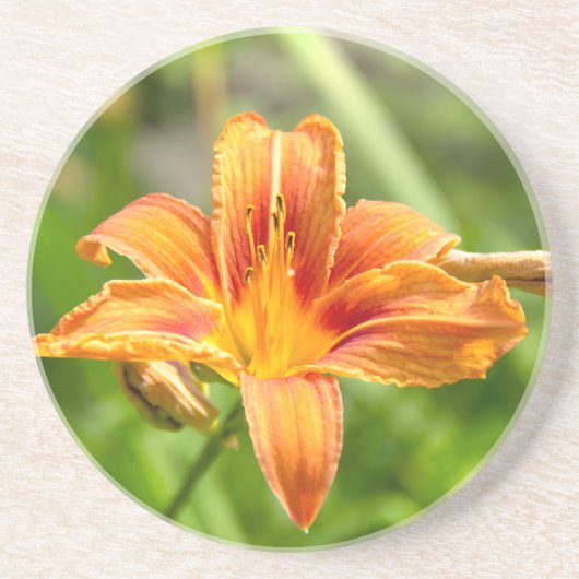 かわいい大きなユリの花の写真 コースター (正面)