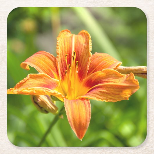 かわいい大きなユリの花の写真 スクエアペーパーコースター (正面)