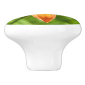 かわいい大きなユリの花の写真 セラミックノブ (側面)