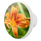 かわいい大きなユリの花の写真 セラミックノブ (右)