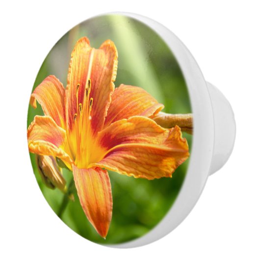 かわいい大きなユリの花の写真 セラミックノブ (右)