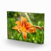 かわいい大きなユリの花の写真 フォトブロック (右)