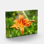 かわいい大きなユリの花の写真 フォトブロック (左)