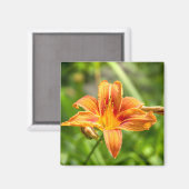 かわいい大きなユリの花の写真 マグネット (正面/裏面)