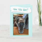 かわいい大きな耳の犬の写真のプレースホルダカード カード (正面)