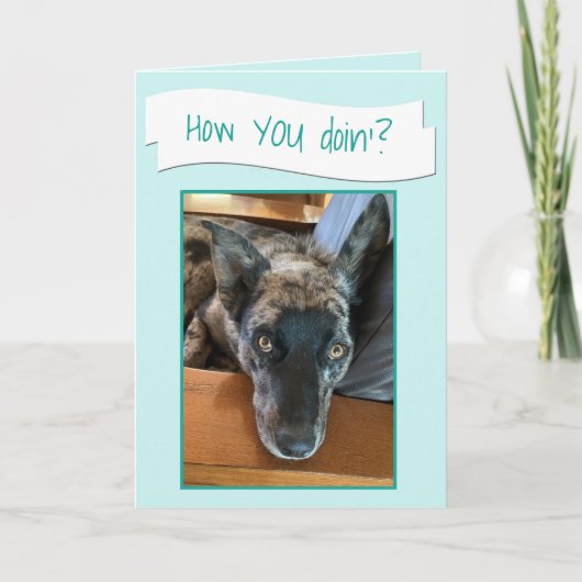 かわいい大きな耳の犬の写真のプレースホルダカード カード (正面)