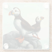 かわいい大西洋のパフィン、海の上の岩 ガラスコースター (裏面)