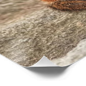 かわいい太とふわふわのチムンク ポスター (コーナー)