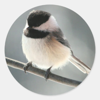 かわいい女の子 ラウンドシール