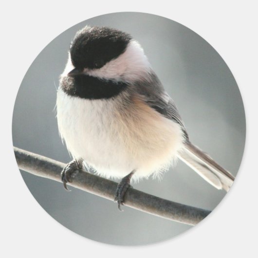 かわいい女の子 ラウンドシール (正面)