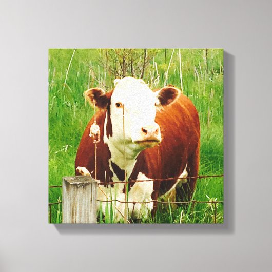 かわいい好奇心旺盛な牛4Carrie キャンバスプリント (正面)
