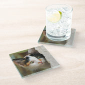 かわいい好奇心旺盛な猫が詮索好きな目を持つポートレート写真 ガラスコースター (アングル)