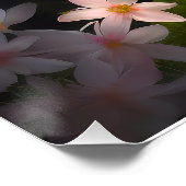 かわいい妖精の芸術 ポスター (コーナー)
