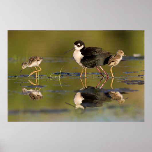 かわいい子たち ポスター (正面)