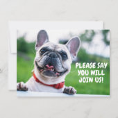 かわいい子どもたち(年齢を問わない)ブルドッグフランスの誕生日 招待状 (正面)