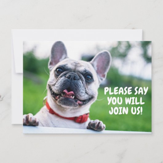 かわいい子どもたち（年齢を問わない）ブルドッグフランスの誕生日 招待状 (正面)