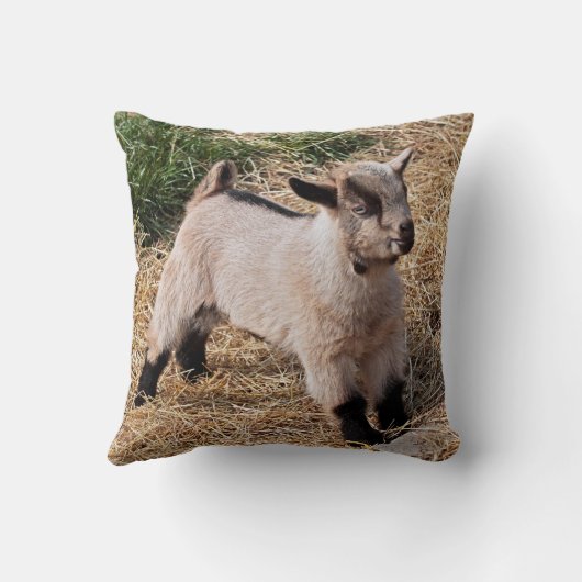 かわいい子ども枕 クッション (裏面)