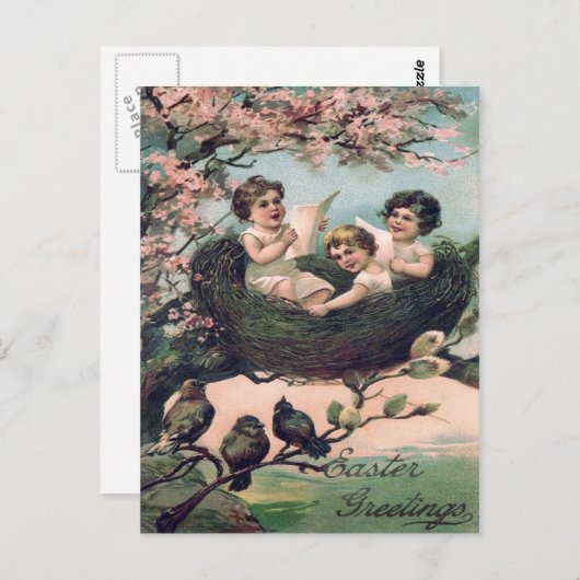 かわいい子ども鳥の巣木 ポストカード (正面/裏面)