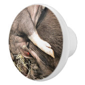 かわいい子ども セラミックノブ (右)