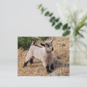 かわいい子はがき ポストカード (スタンド正面)