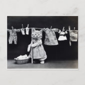 かわいい子ぶら下がった猫の洗濯 ポストカード (正面)