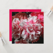 かわいい子へ！誕生日カード カード (正面/裏面インサイチュ)