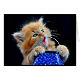 かわいい子ネコのかみ砕くこと