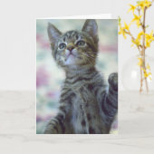 かわいい子ネコの挨拶状 カード (黄色い花)