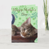 かわいい子ネコの母の日 カード (正面)