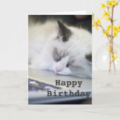 かわいい子ネコの眠ったハッピーバースデーカード カード (黄色い花)