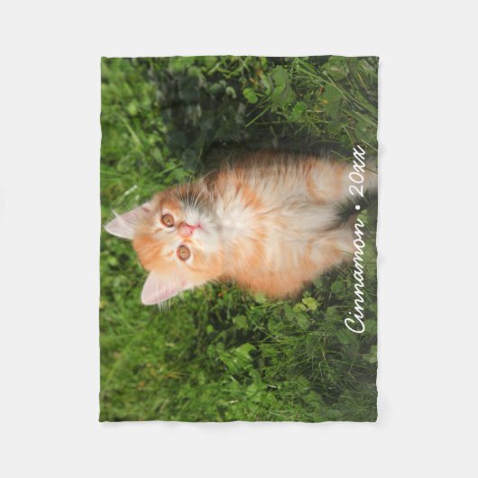 かわいい子ネコパーソナライズされたペット撮カスタム影 フリースブランケット (正面)