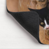 かわいい子ネコ3匹 マウスパッド (コーナー)