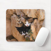 かわいい子ネコ3匹 マウスパッド (マウス)