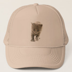 かわいい子ネコ キャップ
