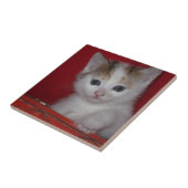 かわいい子ネコ タイル (側面)