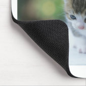 かわいい子ネコ マウスパッド (コーナー)