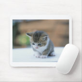 かわいい子ネコ マウスパッド (マウス)