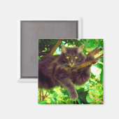 かわいい子ネコ マグネット (正面/裏面)