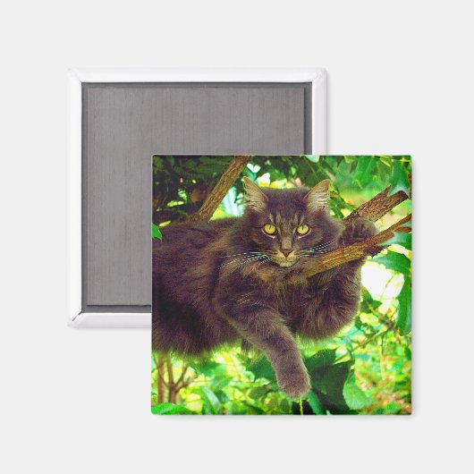 かわいい子ネコ マグネット (正面/裏面)