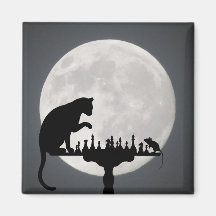 かわいい子ネコ