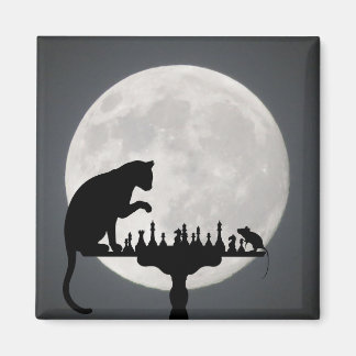 かわいい子ネコ マグネット