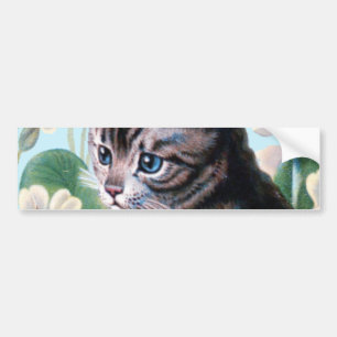 かわいい子ネコ-ヴィンテージ猫の芸術 バンパーステッカー
