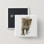 かわいい子ネコ 缶バッジ (正面&裏面)