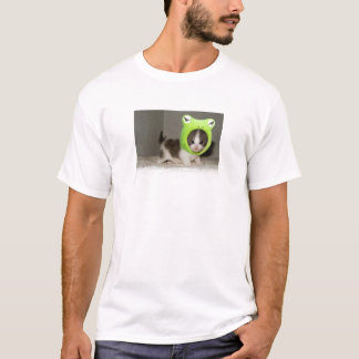 かわいい子ネコ Tシャツ
